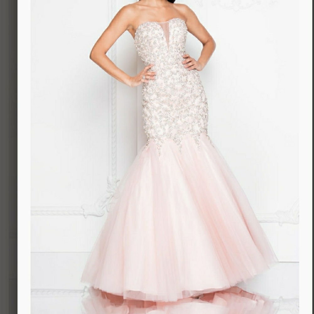 Beautiful  Dress Terani